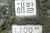 07jl15326s.jpg