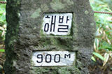 07jl16016s.jpg