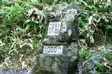 07jl16018s.jpg