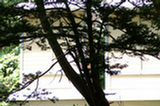 07jl16040s.jpg