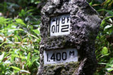 07jl16051s.jpg