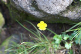 07jl16058s.jpg