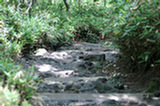 07jl16079s.jpg