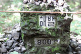 07jl16080s.jpg
