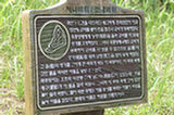 07jl17021s.jpg