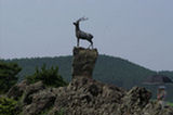 07jl17134s.jpg