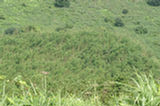 07jl17138s.jpg