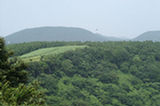 07jl17142s.jpg