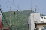08ap30044s.jpg