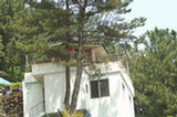 08ap30049s.jpg