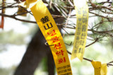 08ap30055s.jpg