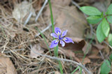 08ap30058s.jpg