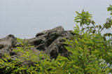 08ap30094s.jpg