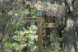 08ap30100s.jpg