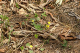 08ap30103s.jpg