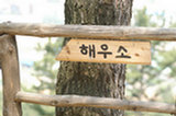 08ap30109s.jpg