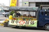 08my01017s.jpg