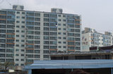 08my01023s.jpg