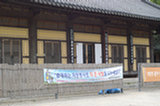 08my01127s.jpg