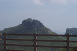 08my01164s.jpg