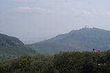 08my01166s.jpg