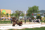 08my02009s.jpg