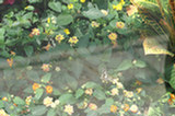 08my02045s.jpg