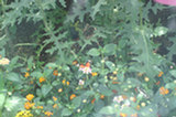 08my02048s.jpg
