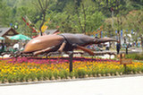 08my02063s.jpg