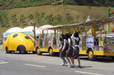 08my02066s.jpg