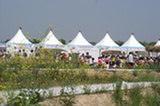 08my02146s.jpg