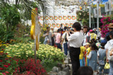 08my02154s.jpg
