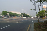 08my03002s.jpg