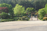08my03033s.jpg
