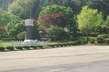 08my03034s.jpg