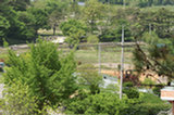 08my03145s.jpg
