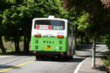 08my03166s.jpg