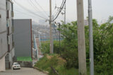08my04011s.jpg
