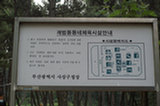 08my04026s.jpg