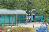 08my04035s.jpg