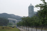 08my04037s.jpg