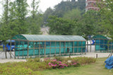 08my04040s.jpg