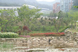 08my04041s.jpg