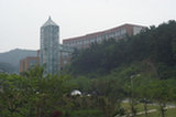 08my04044s.jpg