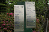 08my04045s.jpg