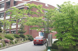 08my04046s.jpg
