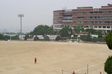 08my04047s.jpg