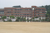 08my04049s.jpg