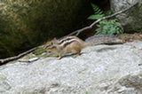 09jl11075s.jpg