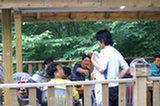 09jl11214s.jpg